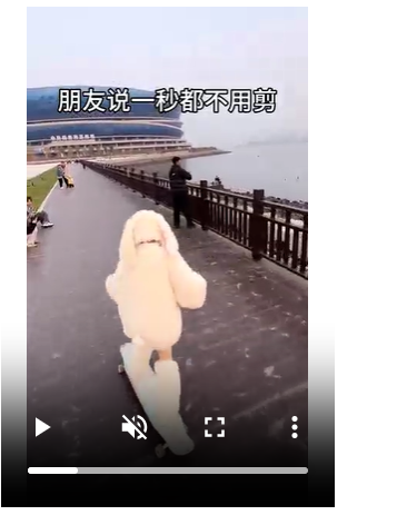 image-20251128174633097