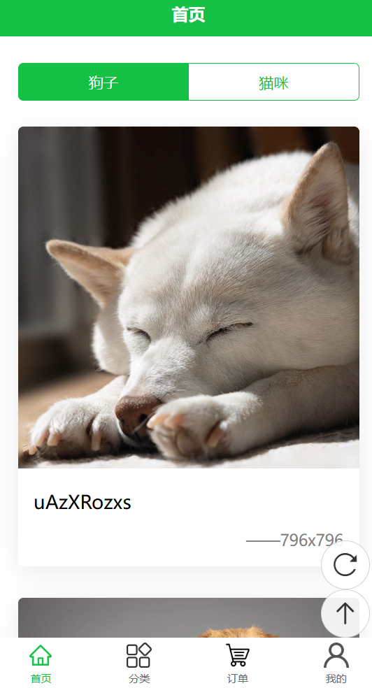 image-20260206171631701