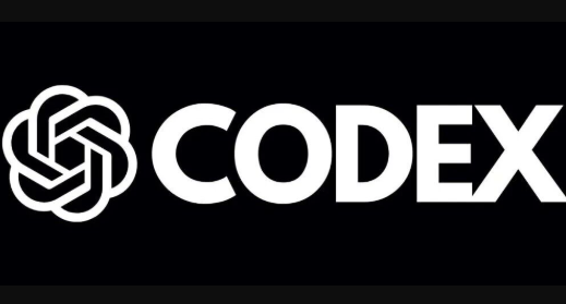 Codex保姆级教程完整版